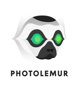 photolemur 2.0.4 patch